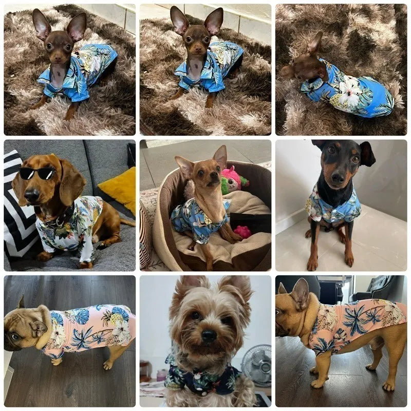 Hawaiian Beach Style Dog Shirt, Teddy, French Bulldog, Cat, Small to Medium Pet, Pet Jacket, Summer Clothing